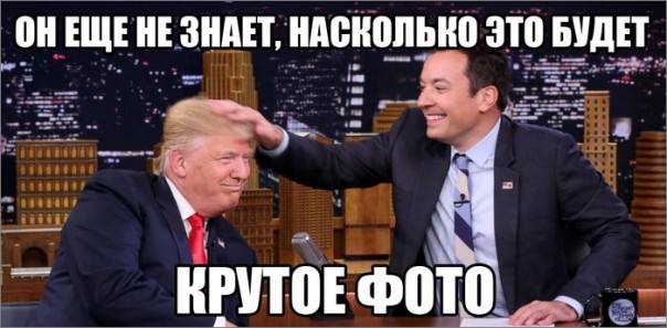 "Мыздобулы" в картинках. Смешных и не очень... 13-11-2016