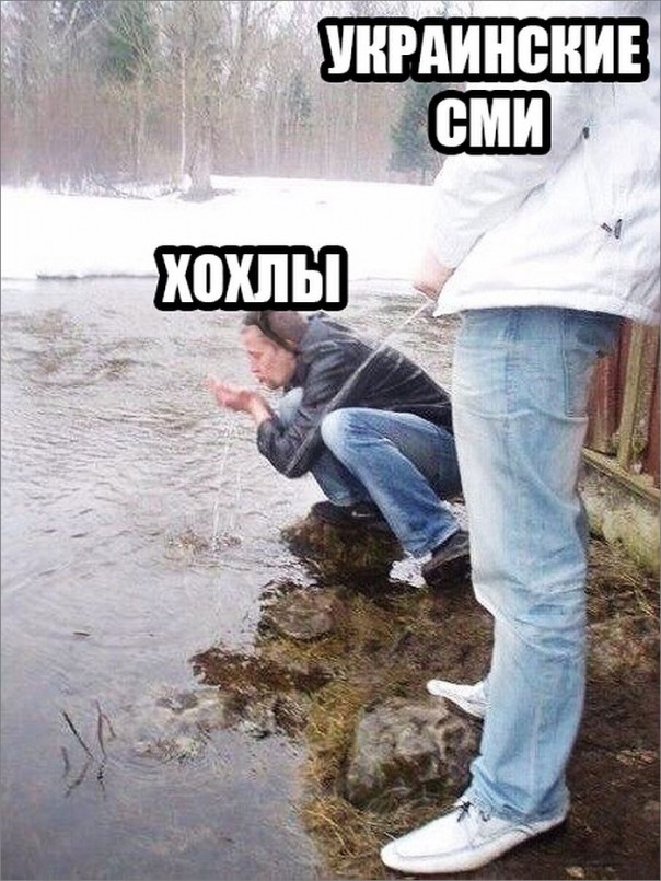 "Мыздобулы" в картинках. Смешных и не очень... 13-11-2016