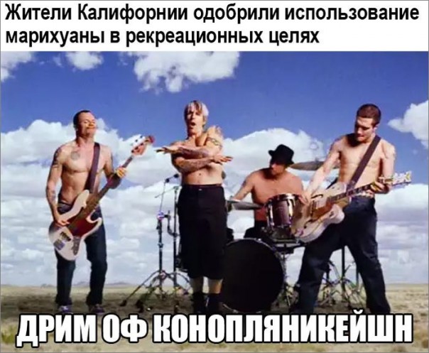 "Мыздобулы" в картинках. Смешных и не очень... 13-11-2016