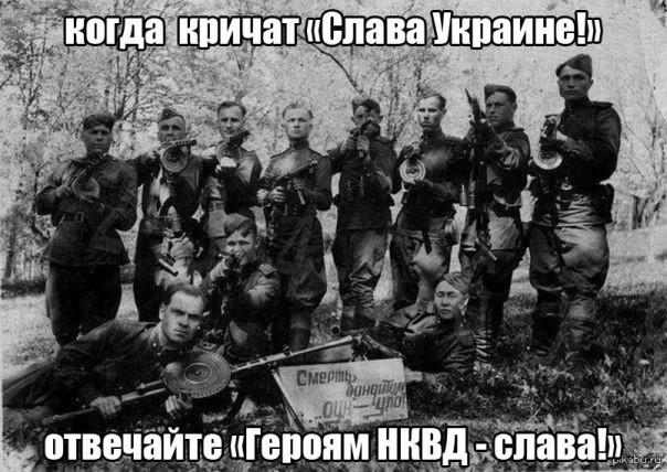 "Мыздобулы" в картинках. Смешных и не очень... 14-11-2016