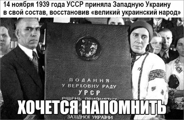 "Мыздобулы" в картинках. Смешных и не очень... 14-11-2016