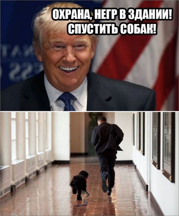 "Мыздобулы" в картинках. Смешных и не очень... 14-11-2016