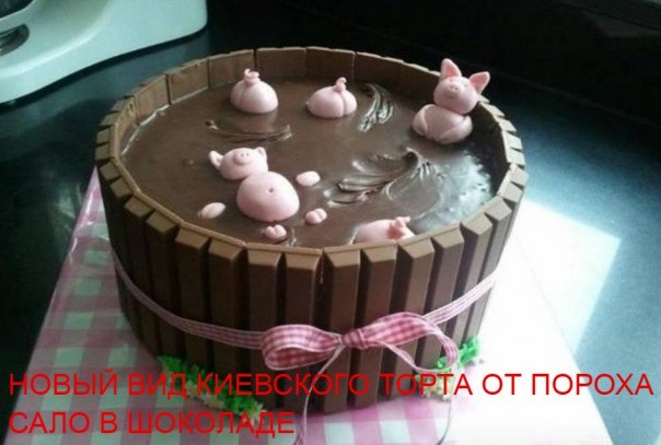 "Мыздобулы" в картинках. Смешных и не очень... 16-11-2016 "Мыздобулы" в картинках. Смешных и не очень... 16-11-2016