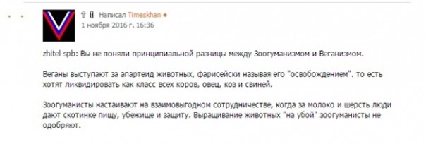 Ньюсмейкер Новой Газеты ловит фашистов, воюет с котами и высиживает каменное яйцо Ньюсмейкер Новой Газеты ловит фашистов, воюет с котами и высиживает каменное яйцо