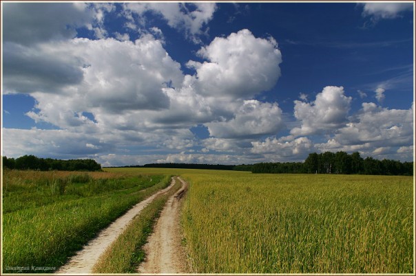 Эх вы, русские дороги, три загиба на версту! 