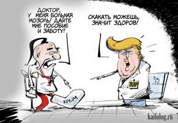 "Мыздобулы" в картинках. Смешных и не очень... 17-11-2016 "Мыздобулы" в картинках. Смешных и не очень... 17-11-2016