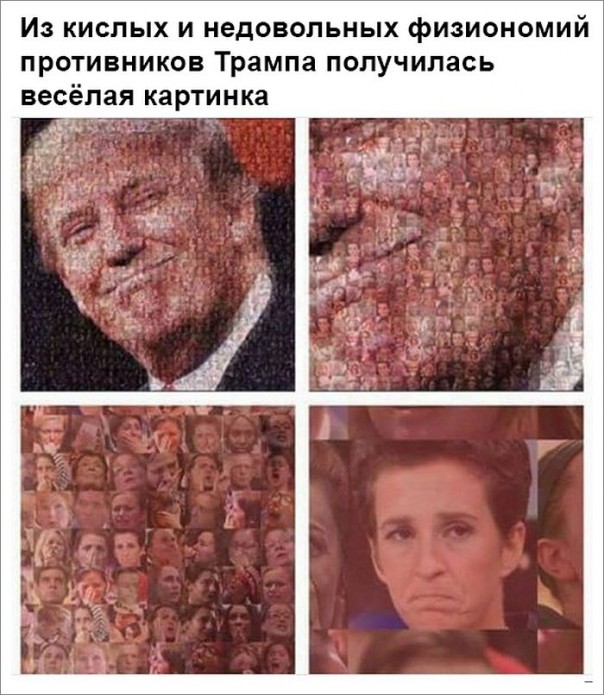 "Мыздобулы" в картинках. Смешных и не очень... 17-11-2016 "Мыздобулы" в картинках. Смешных и не очень... 17-11-2016