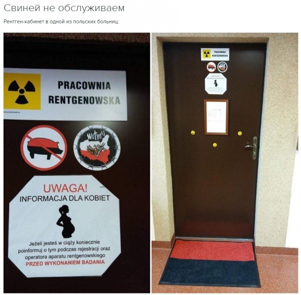 "Мыздобулы" в картинках. Смешных и не очень... 17-11-2016 "Мыздобулы" в картинках. Смешных и не очень... 17-11-2016