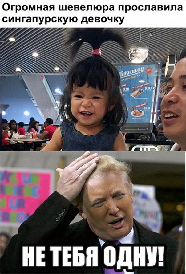 "Мыздобулы" в картинках. Смешных и не очень... 17-11-2016 "Мыздобулы" в картинках. Смешных и не очень... 17-11-2016