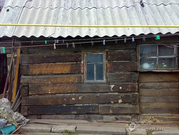 Абсурдные новости. 17 ноября 2016 года Абсурдные новости. 17 ноября 2016 года