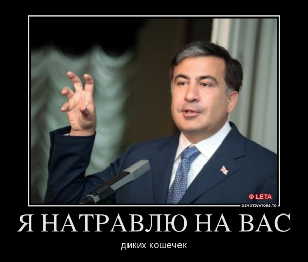 Саакашвили: чемодан, вокзал, Тбилиси