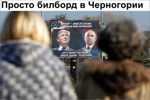 "Мыздобулы" в картинках. Смешных и не очень... 18-11-2016