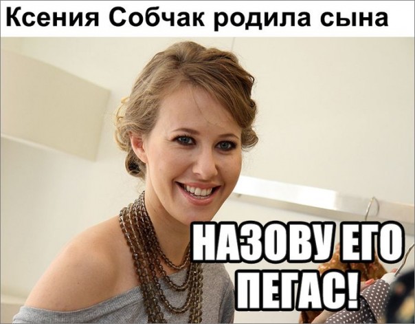 "Мыздобулы" в картинках. Смешных и не очень... 18-11-2016