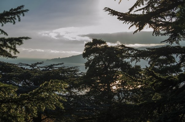 Последние краски осени. Крым. Последние краски осени. Крым.