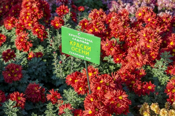 Последние краски осени. Крым.