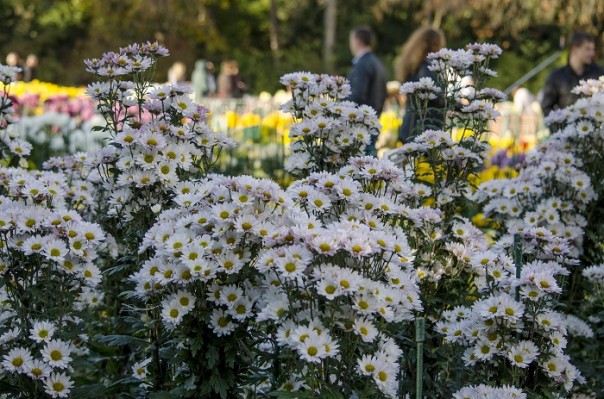 Последние краски осени. Крым. Последние краски осени. Крым.