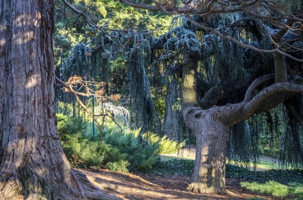 Последние краски осени. Крым. Последние краски осени. Крым.