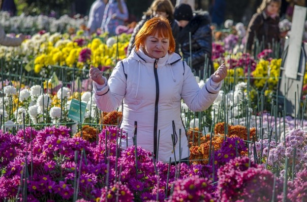 Последние краски осени. Крым. Последние краски осени. Крым.