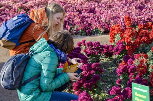 Последние краски осени. Крым. Последние краски осени. Крым.