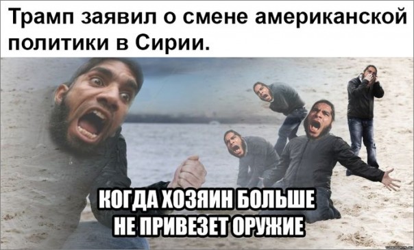 "Мыздобулы" в картинках. Смешных и не очень... 20-11-2016 "Мыздобулы" в картинках. Смешных и не очень... 20-11-2016