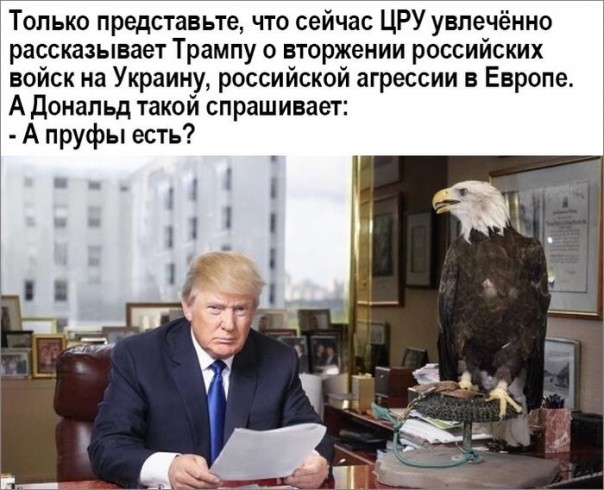 "Мыздобулы" в картинках. Смешных и не очень... 20-11-2016 "Мыздобулы" в картинках. Смешных и не очень... 20-11-2016