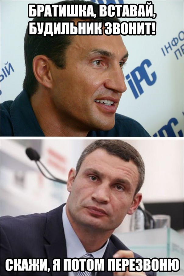 "Мыздобулы" в картинках. Смешных и не очень... 20-11-2016 "Мыздобулы" в картинках. Смешных и не очень... 20-11-2016