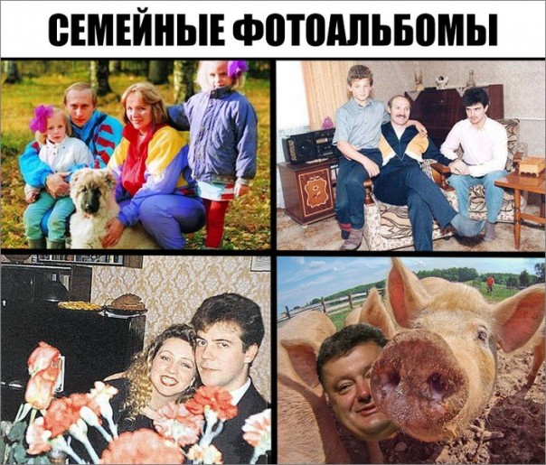 "Мыздобулы" в картинках. Смешных и не очень... 20-11-2016 "Мыздобулы" в картинках. Смешных и не очень... 20-11-2016