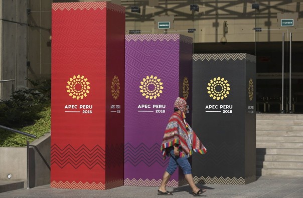 Лидеры АТЭС сфотографировались в перуанских накидках из викуньи