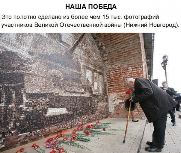 "Мыздобулы" в картинках. Смешных и не очень... 21-11-2016 "Мыздобулы" в картинках. Смешных и не очень... 21-11-2016