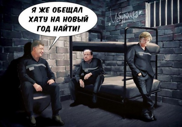 "Мыздобулы" в картинках. Смешных и не очень... 21-11-2016 "Мыздобулы" в картинках. Смешных и не очень... 21-11-2016