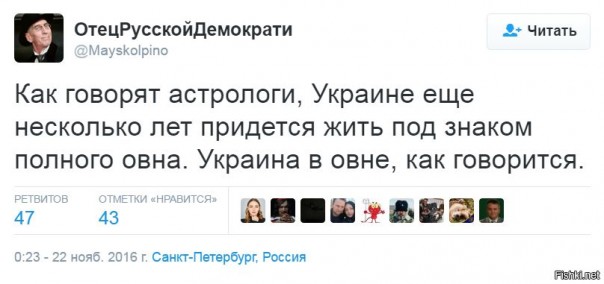 "Мыздобулы" в картинках. Смешных и не очень... 22-11-2016