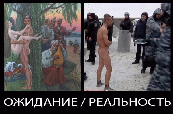 "Мыздобулы" в картинках. Смешных и не очень... 22-11-2016