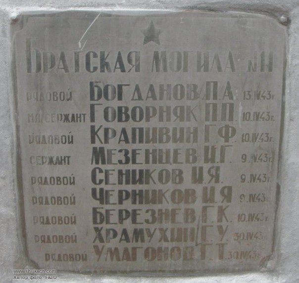 В чем сила, брат? Василий Волга В чем сила, брат? Василий Волга