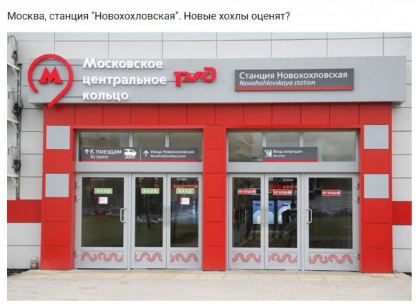 "Мыздобулы" в картинках. Смешных и не очень... 23-11-2016 "Мыздобулы" в картинках. Смешных и не очень... 23-11-2016