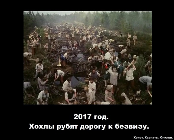 "Мыздобулы" в картинках. Смешных и не очень... 25-11-2016 "Мыздобулы" в картинках. Смешных и не очень... 25-11-2016