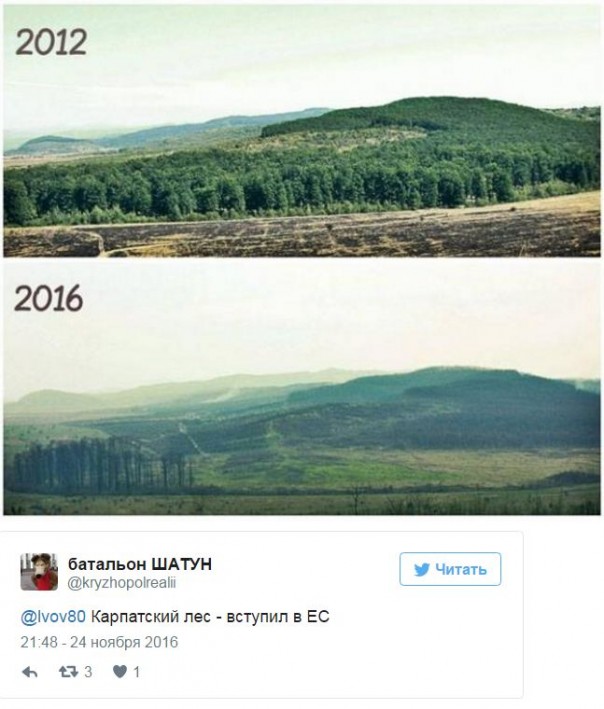 "Мыздобулы" в картинках. Смешных и не очень... 25-11-2016 "Мыздобулы" в картинках. Смешных и не очень... 25-11-2016