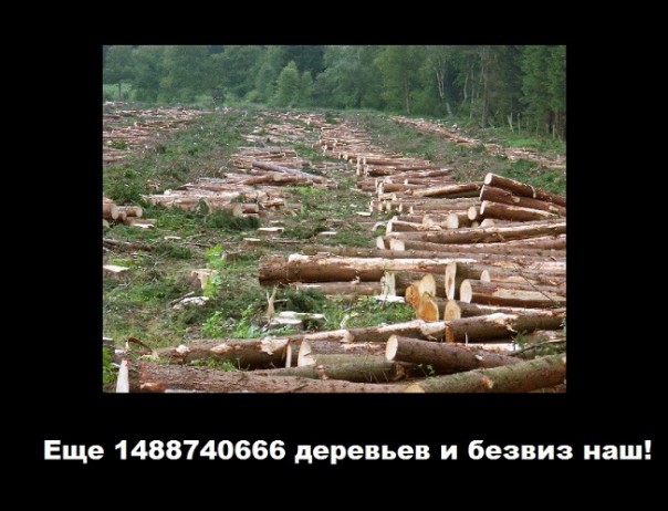 "Мыздобулы" в картинках. Смешных и не очень... 25-11-2016 "Мыздобулы" в картинках. Смешных и не очень... 25-11-2016