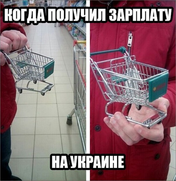 "Мыздобулы" в картинках. Смешных и не очень... 25-11-2016 "Мыздобулы" в картинках. Смешных и не очень... 25-11-2016