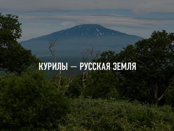 Токийский визит: решится ли вопрос Курильских островов?