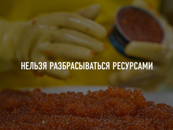 Токийский визит: решится ли вопрос Курильских островов?