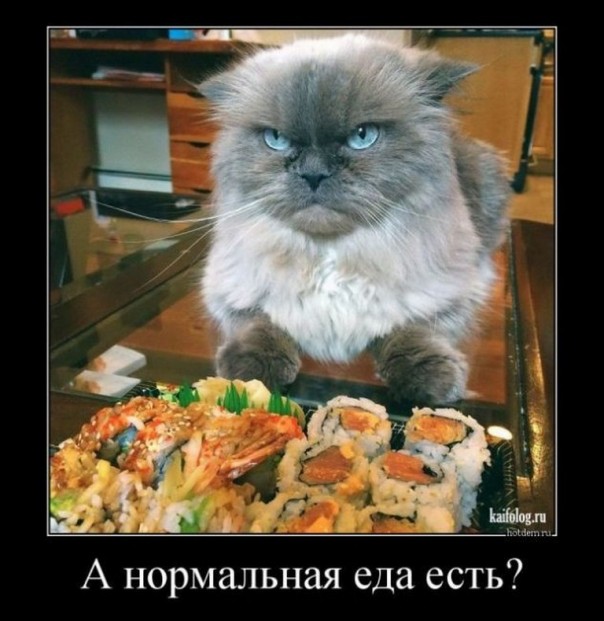 Приколы (18+)