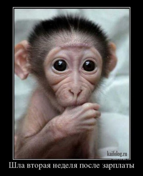 Приколы (18+)