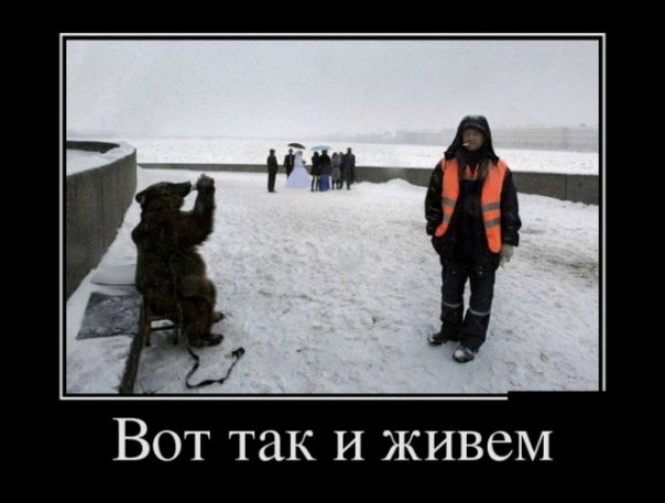 Приколы (18+)