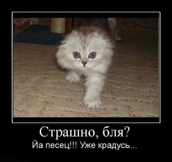 Приколы (18+)