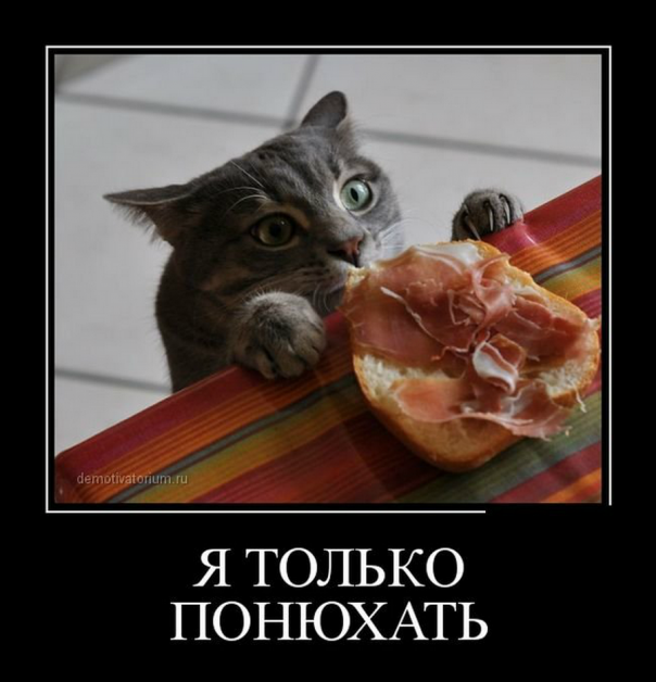 Приколы (18+)