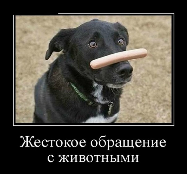 Приколы (18+)