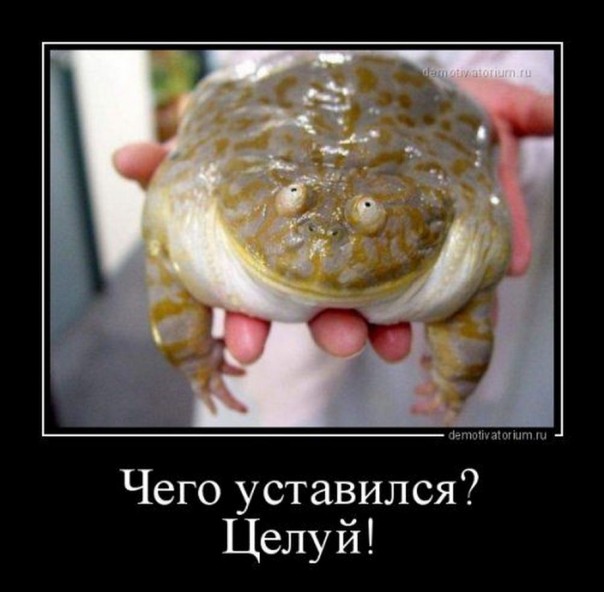 Приколы (18+)