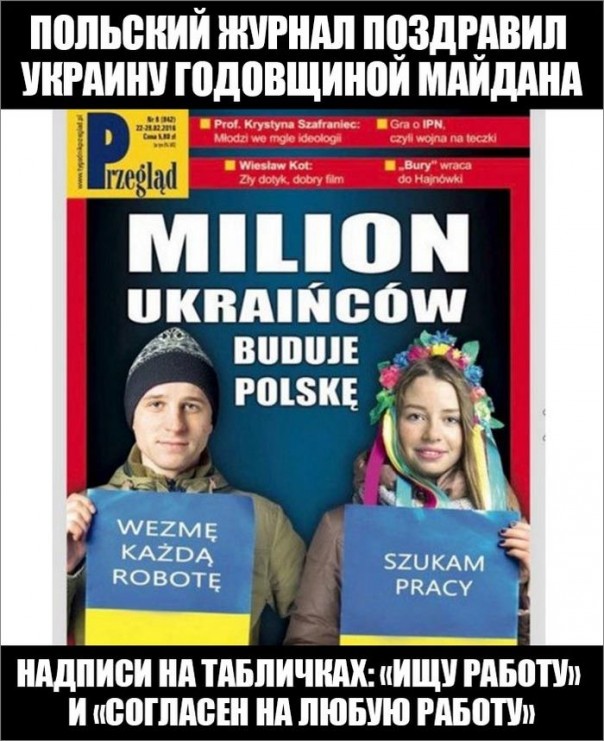 "Мыздобулы" в картинках. Смешных и не очень... 26-11-2016 "Мыздобулы" в картинках. Смешных и не очень... 26-11-2016