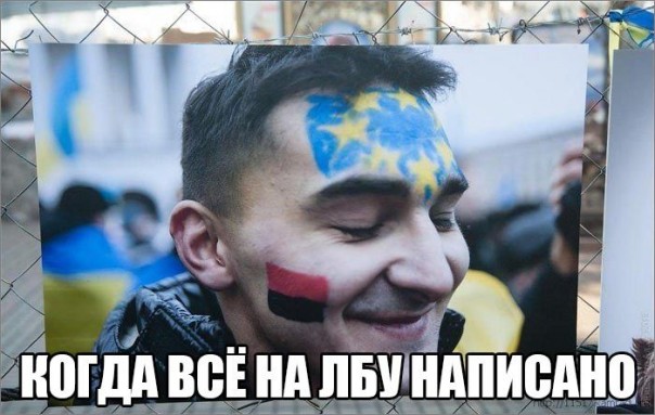 "Мыздобулы" в картинках. Смешных и не очень... 26-11-2016 "Мыздобулы" в картинках. Смешных и не очень... 26-11-2016