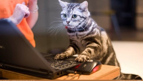 Заманчивое предложение...